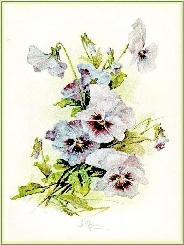 ������ �����