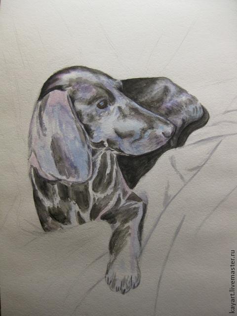 Рисуем черную собаку акварелью, фото № 6