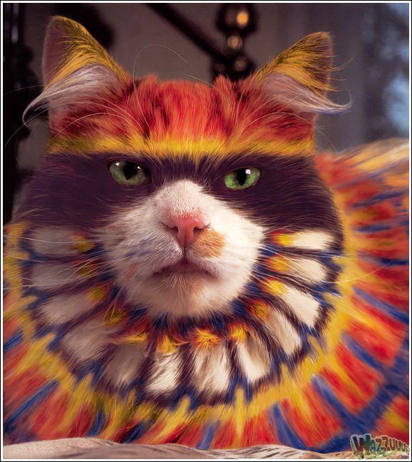 Как называются породы кошек с тигровым окрасом: фото
