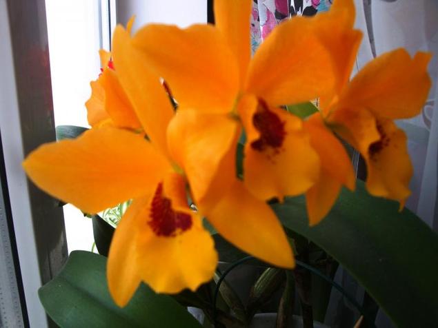 Брошь-шатлен и прочие штукендуры | Журнал Ярмарки Мастеров