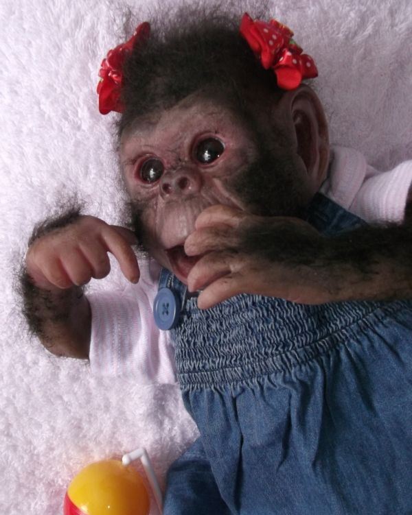 Маленькие обезьянки в одежде