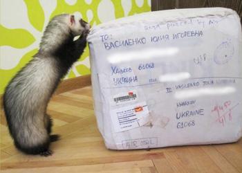 размышления размышления
