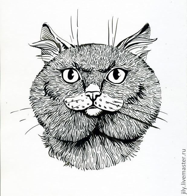 Tutorial on How to Draw a British Shorthair in Ink | Журнал Ярмарки ...