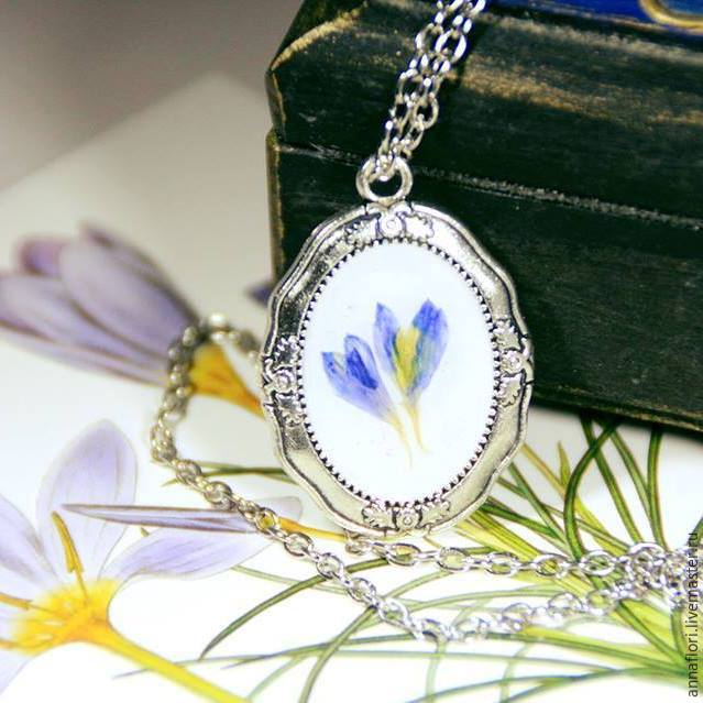 6 způsobů sušení chrpy, foto č. 13