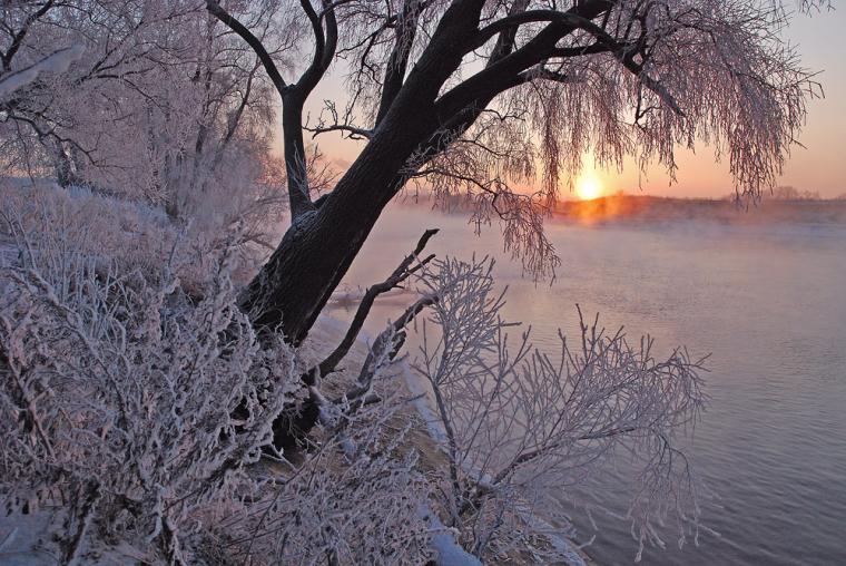 Завораживающие зимние краски. фото № 17