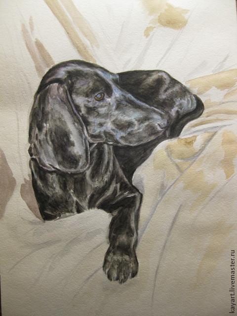 Рисуем черную собаку акварелью, фото № 9
