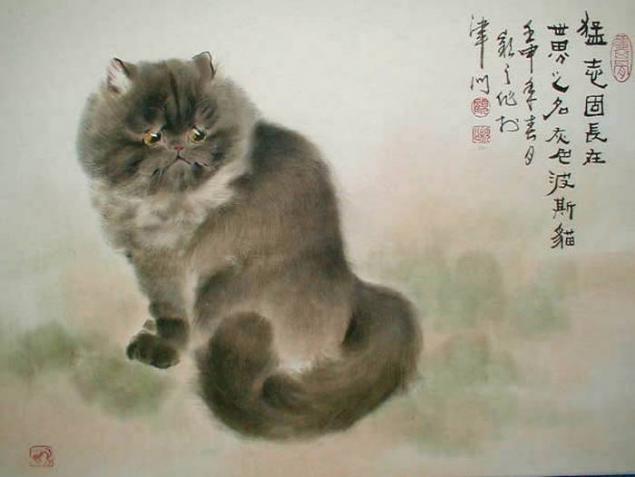 Китайские котята фото