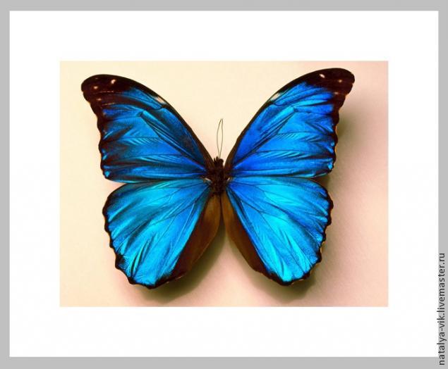 Простой способ сделать марку в фотошопе, фото № 4