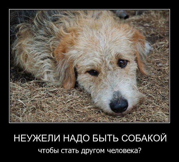 Бумагопластика, картинки с надписями что любимая бросила