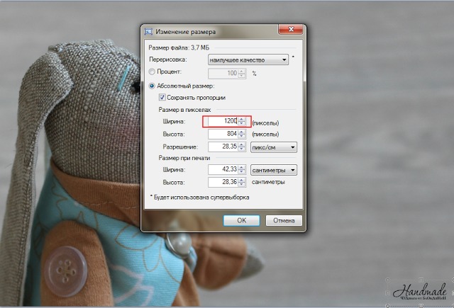 Вставляем Логотип и уменьшаем размер изображения в aint., фото № 9