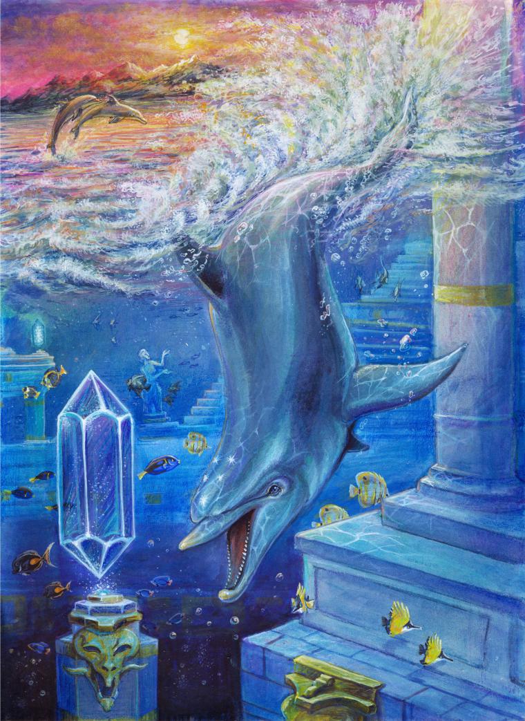 Ecco the Dolphin Art