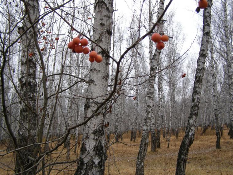 Весенний вернисаж фото