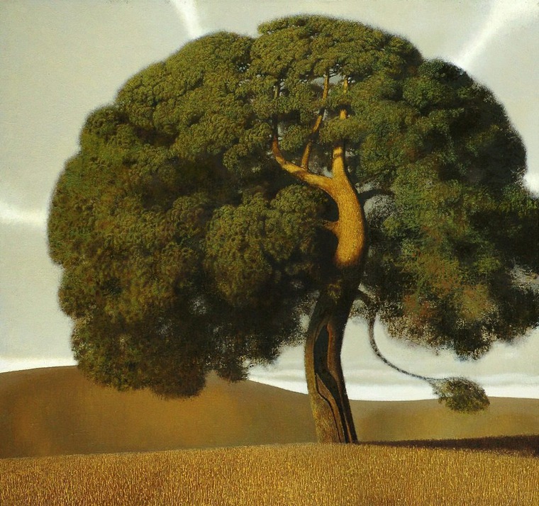 ������ � ������ ������ ���������� ����������, ���� � 14