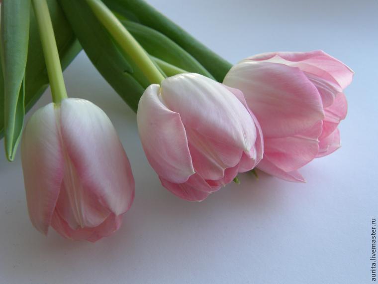 Делаем красивую упаковку для цветов в горшке, фото № 16 Делаем красивую упаковку для цветов в горшке, фото № 16