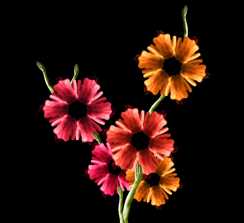      ecelia ebber,   9