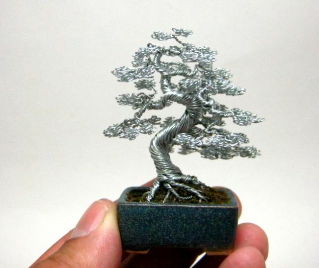 Что такое бонсай? Как вырастить миниатюрное дерево в домашних условиях?