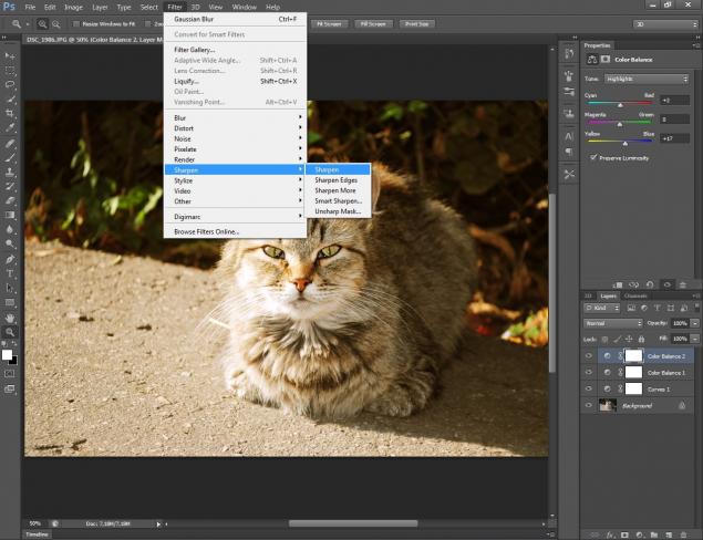 Работа в фотошоп-солнечный кот, фото № 6