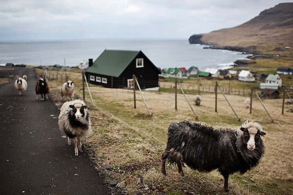 Faroe Adaları'ndan bir Danimarka şalının güzelliği ve konforu, fotoğraf No. 7