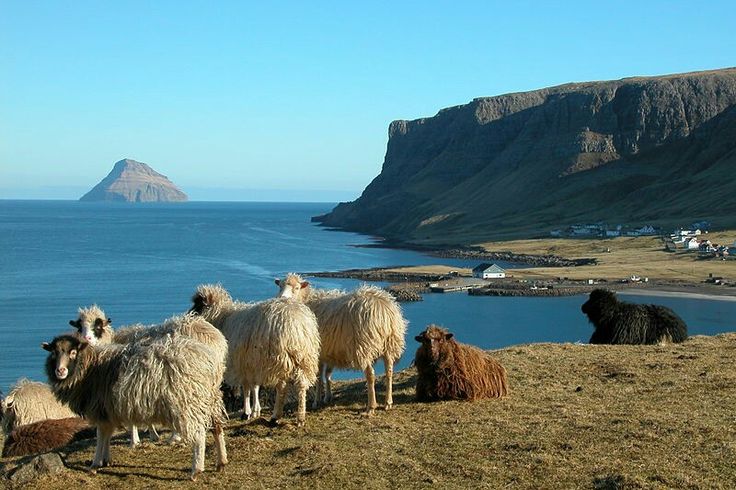 Faroe Adaları'ndan bir Danimarka şalının güzelliği ve konforu, fotoğraf No. 8