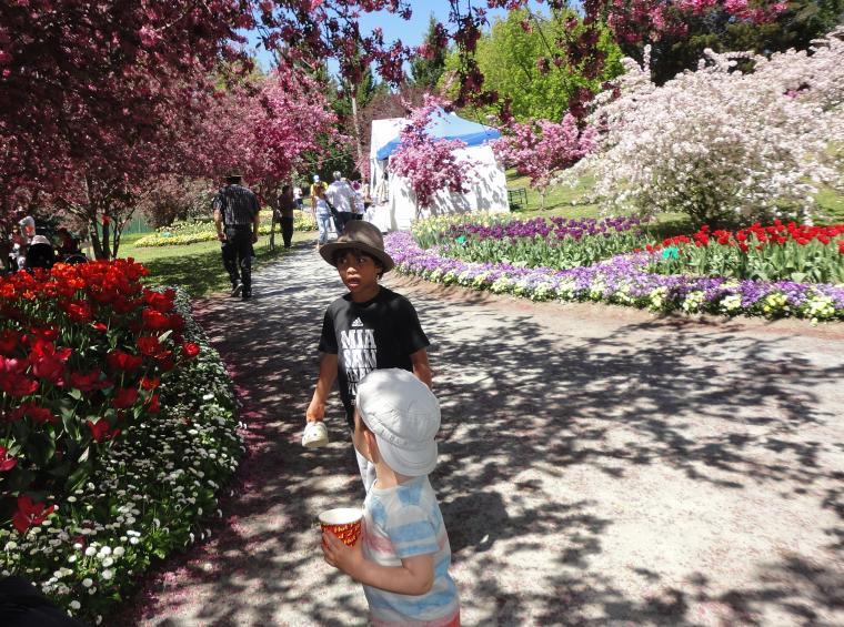 природа природа