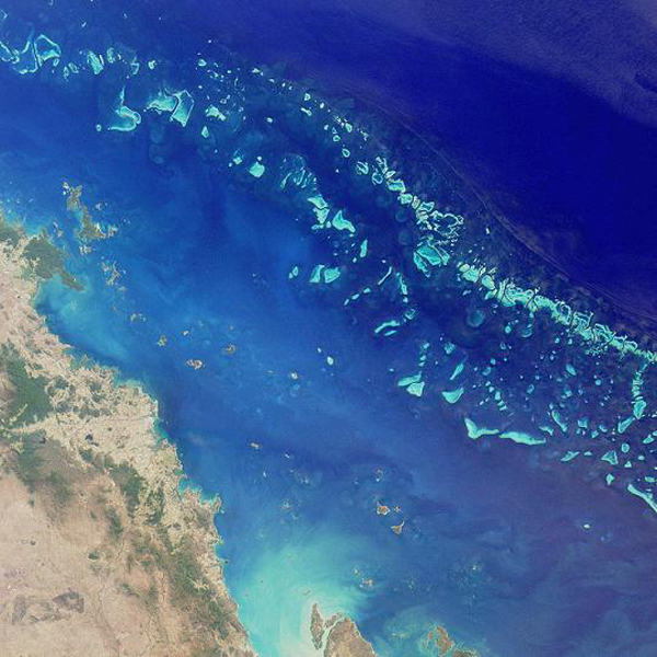 Удивительный мир кораллового рифа, близ берегов Австралии, фото № 1