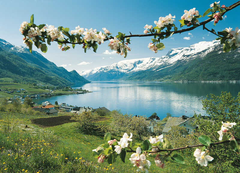 Самые красивые фьорды Норвегии, фото № 22