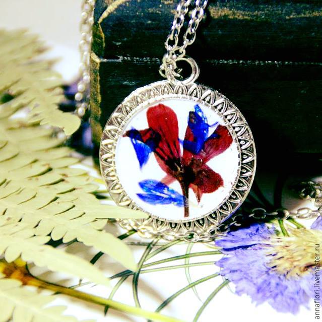 6 způsobů sušení chrpy, foto č. 16