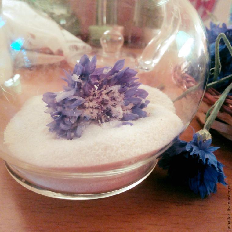 6 způsobů sušení chrpy, foto č. 4