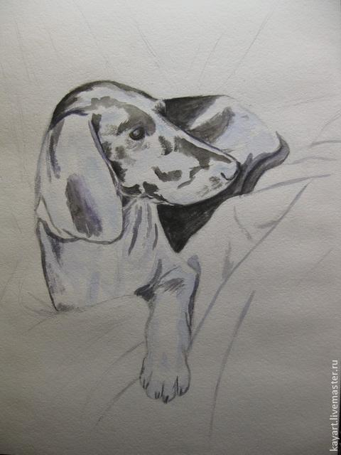 Рисуем черную собаку акварелью, фото № 5