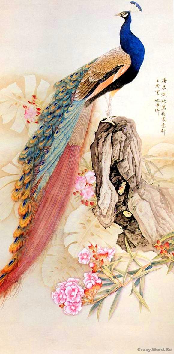 Райские птички. Яркие акварели., фото № 5