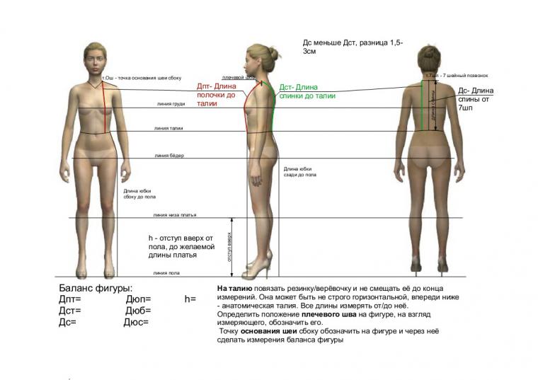 Длина ног мужчины. Замер длины ног. Пропорции длины ног. Основные пропорции женской фигуры. Длина туловища человека.