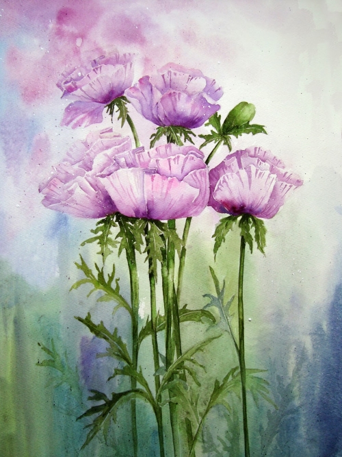   : Yvonne Harry. ,   8