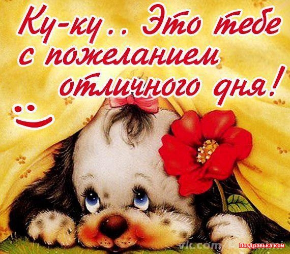 Пожелание отличного дня девушке в картинках Пожелание отличного дня девушке в картинках