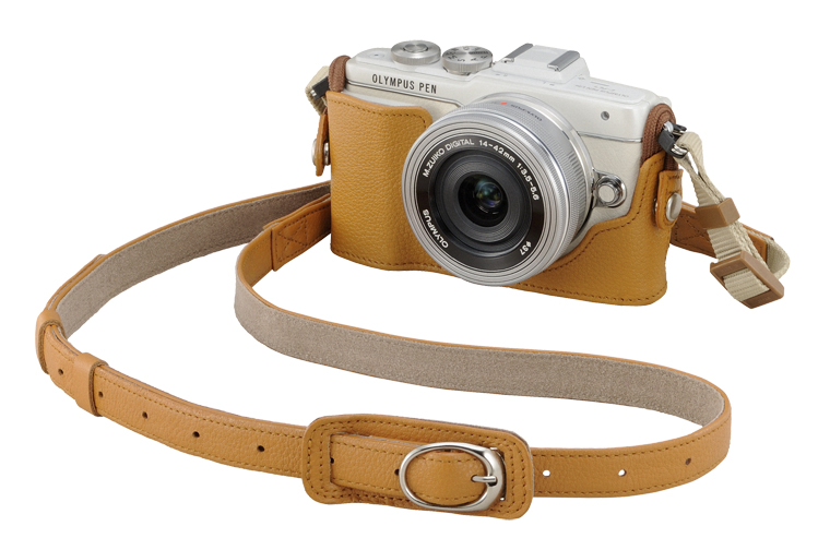 олимпус 2012 ответы 6 класс