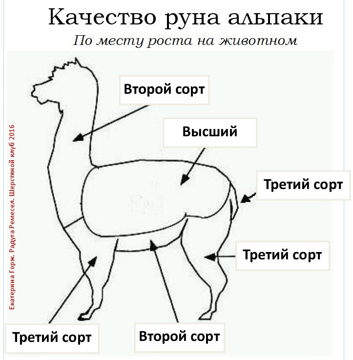 Бизнес план альпаки