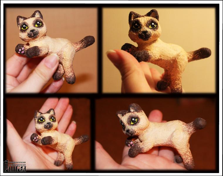 кошки кошки