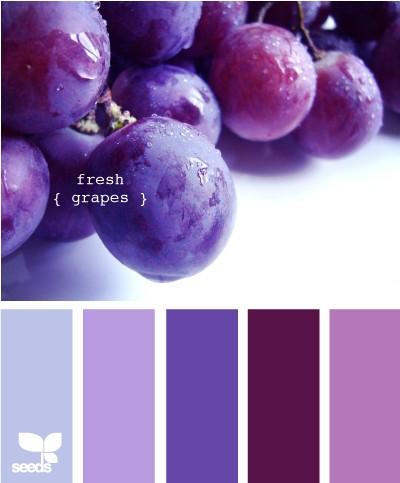 themes in the colour purple themes in the colour purple