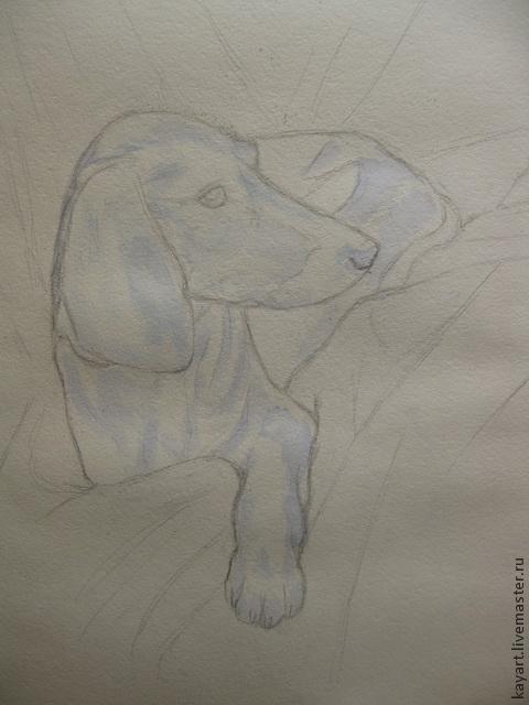 Рисуем черную собаку акварелью, фото № 3