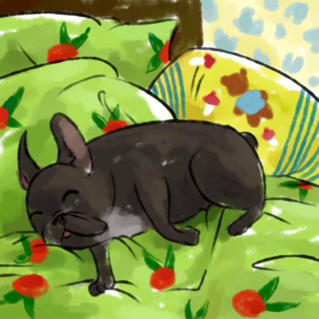 Рисование волшебной кистью rush в программе aint ool , фото № 19