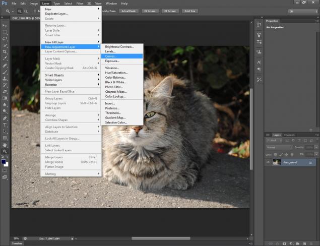 Работа в фотошоп-солнечный кот, фото № 2