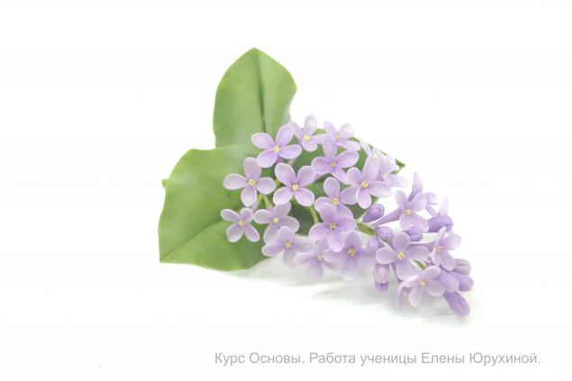 полимерная глина, сакура полимерная глина, сакура