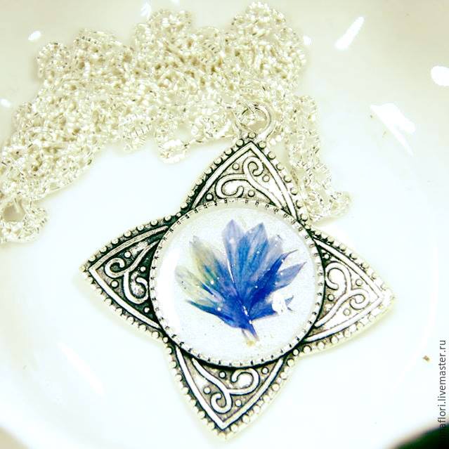 6 způsobů sušení chrpy, foto č. 11