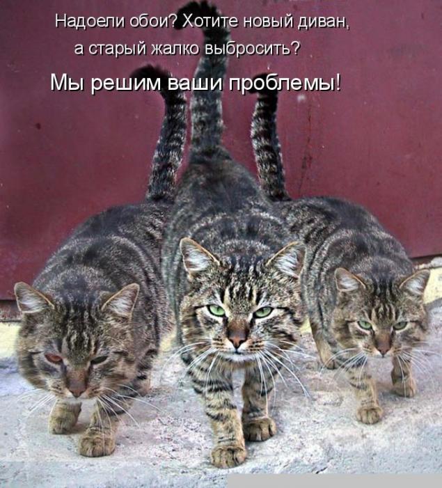Dlya Podnyatiya Nastroeniya Zhurnal Yarmarki Masterov