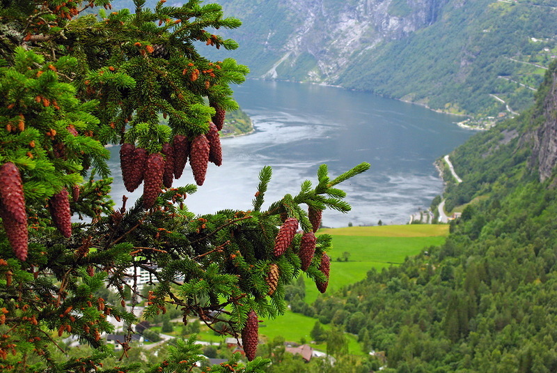 Самые красивые фьорды Норвегии, фото № 31