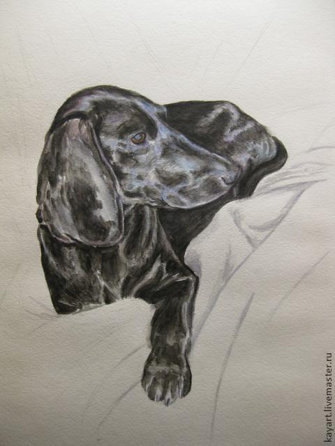 Рисуем черную собаку акварелью, фото № 8