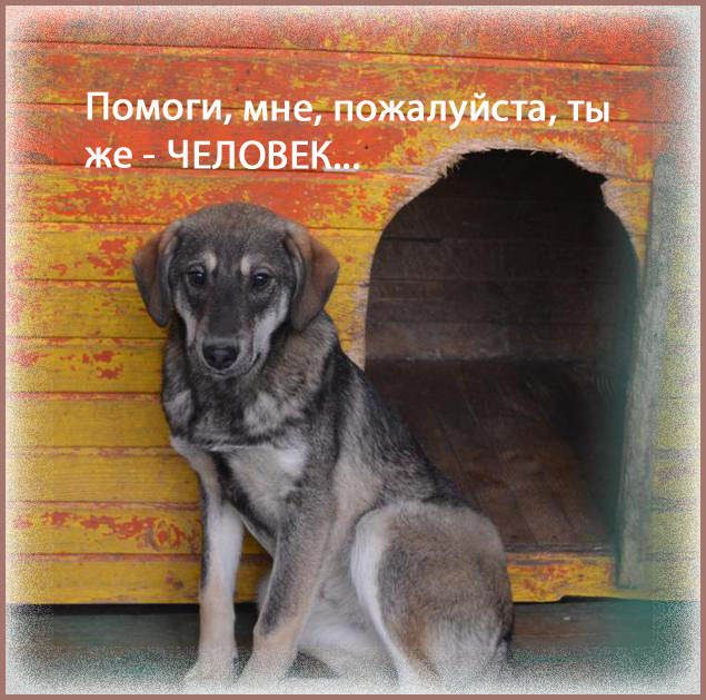 Юбилеем, помоги пожалуйста открытка