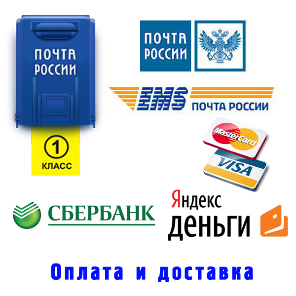 Каталог работает. Путеводитель по магазину. Путеводитель по магазину в телефоне.