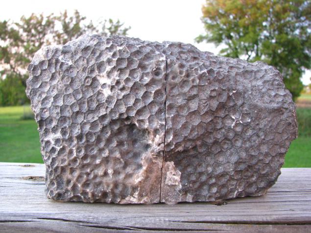 Камень Петоски etoskey stone, фото № 8