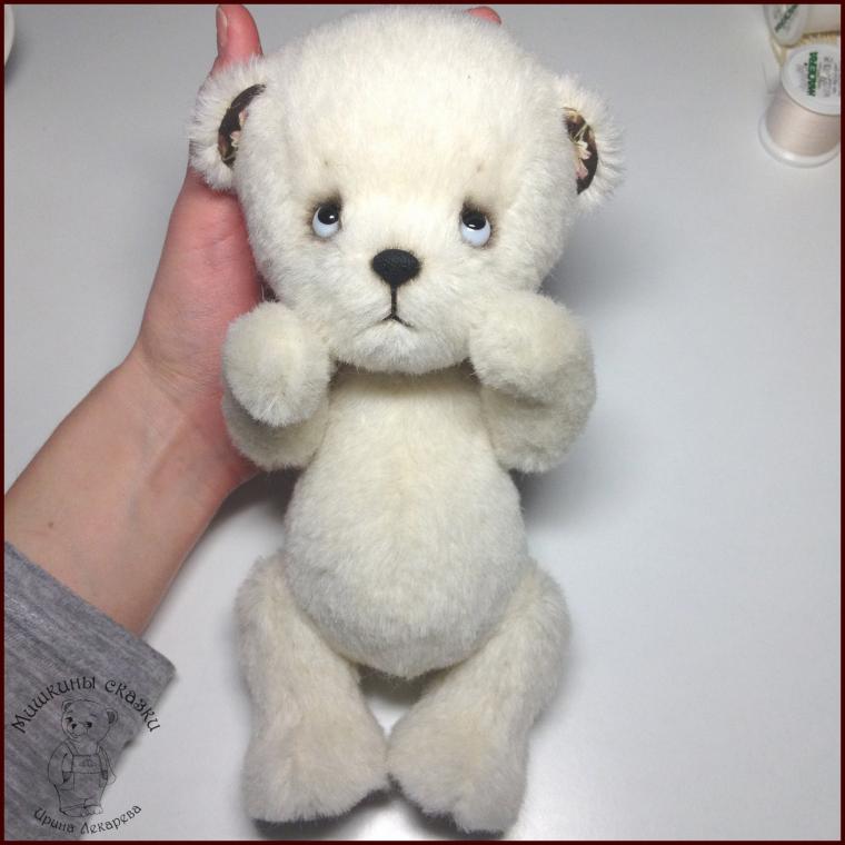 teddy teddy