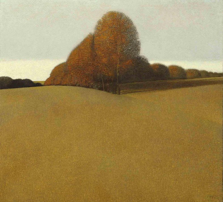 ������ � ������ ������ ���������� ����������, ���� � 13